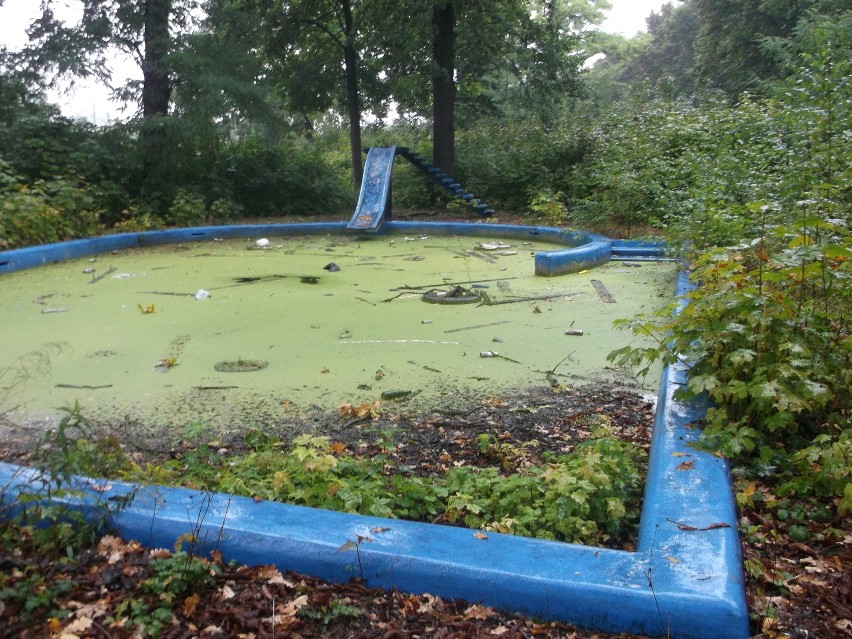 Stary basen przy Ślężnej wygląda jak dżungla. Miasto obiecało tu budowę nowoczesnej szkoły (ZDJĘCIA)