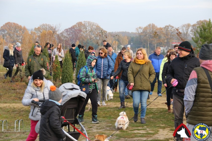 Kluczborskie spacerowanie z psami.