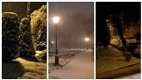 Pierwszy śnieg na Pomorzu w obiektywie naszych czytelników. Region przykryty białym puchem! ZDJĘCIA