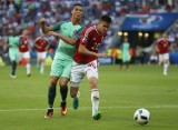 Richard Guzmics po powrocie z Euro 2016: Dzięki nam ludzie szli do pracy uśmiechnięci