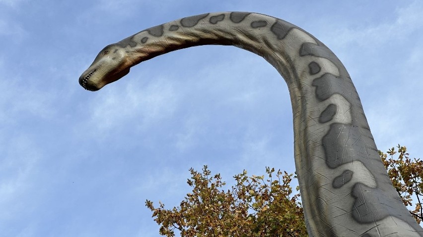 Paleopak w Szprotawie to niesamowite miejsce - atrakcja dla...