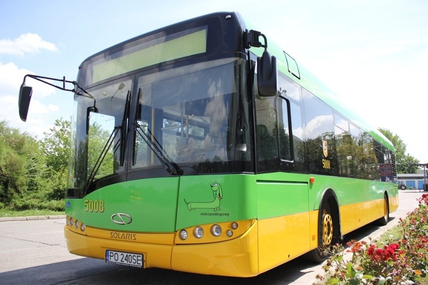 Wrocław: Nowy autobus na testach w MPK. Zielono-żółty i z... koziołkami (ZDJĘCIA)