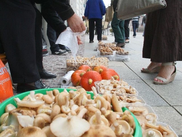 Pani Alicja z Daleszyc w piątek na kieleckim Rynku sprzedawała koszyczki z samymi opieńkami.