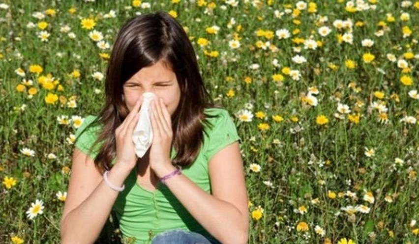 Zapytaj Lekarza Na Czym Polega Alergia Pyłkowa I Skąd Się