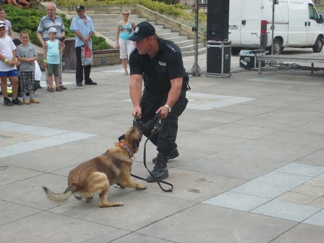 Jednym z najciekawszych punktów imprezy był pokaz tresury psa policyjnego