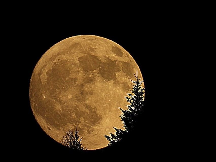 Muszyna. „Zimny Księżyc”na niebie. To wyjątkowa pełnia zwiastująca nadejście zimy [ZDJĘCIA]
