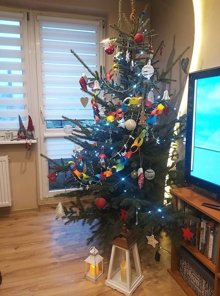 Boże Narodzenie 2019. Jakie choinki stoją w naszych domach? Nasi Czytelnicy przysłali zdjęcia swoich choinek [galeria zdjęć]