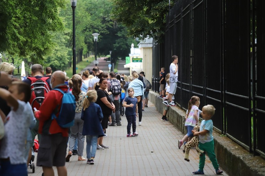 Marek Mitrenga nowym dyrektorem śląskiego zoo. Zastąpi odchodzącą na emeryturę Jolantę Kopiec