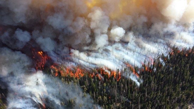 Władze Oregonu ogłosiły stan klęski żywiołowej w związku z szerzącym się w tym stanie pożarem. Zdjęcie ilustracyjne