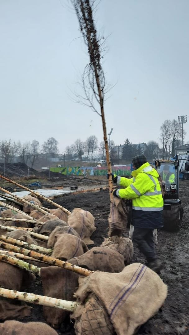 Budowa ogromnego parku (prawie 6 ha) w Niepołomicach, na...