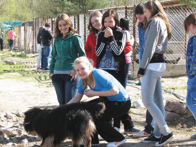 Pokochaliśmy te pieski od ich pierwszego merdnięcia ogonem &#8211; mówi bielska wolontariuszka Żaneta Szczepkowska (na pierwszym planie &#8211; z podopiecznym hajnowskiego schroniska psem Puchaczem).