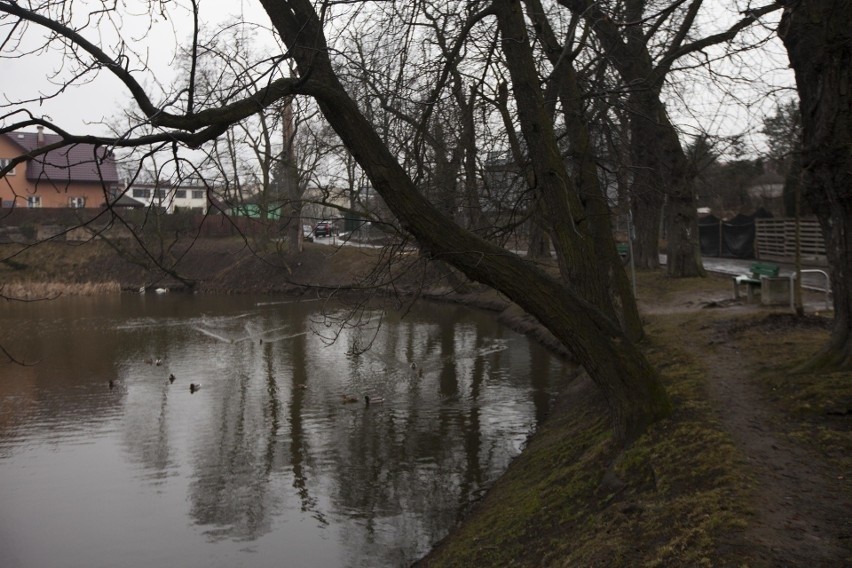 Kraków. Potrzeba jeszcze 150 działek, by urządzić park rzeczny Dłubni. W pobliskim, zabytkowym młynie powstaną mieszkania