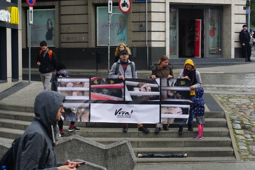 Poznań: Protest obrońców praw zwierząt