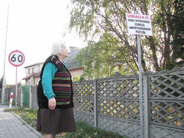 Zofia Sparzyńska od nas dowiedziała się o ostrzeżeniu stojącym przed jej domem. - U nas w okolicy żadnych pszczół nie ma. Co prawda sąsiad je miał, ale już dawno nie żyje - mówi i patrzy na tablicę.
