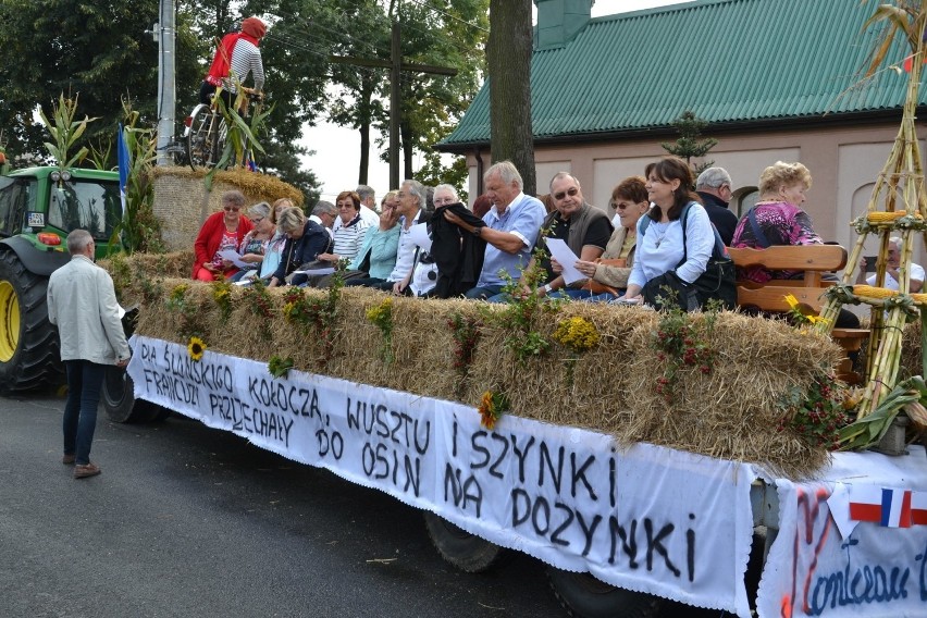 39-latek za znieważenie policjantów na dożynkach będzie...