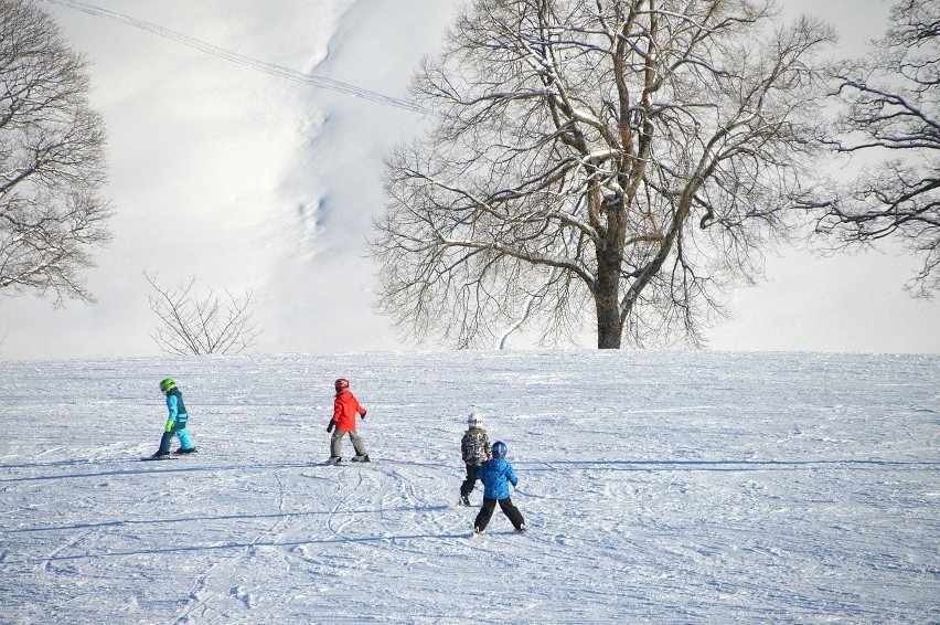 Ferie 2019 podlaskie od 21 stycznia do 3 lutego...