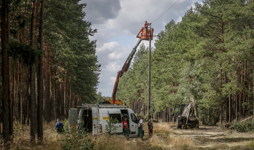 Masowa awaria energii elektrycznej to skutek zerwanych linii...