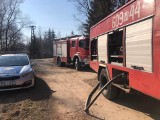 Strażacy z Odrzywołu i Wysokina gasili pożar traw w Łęgonicach Małych 