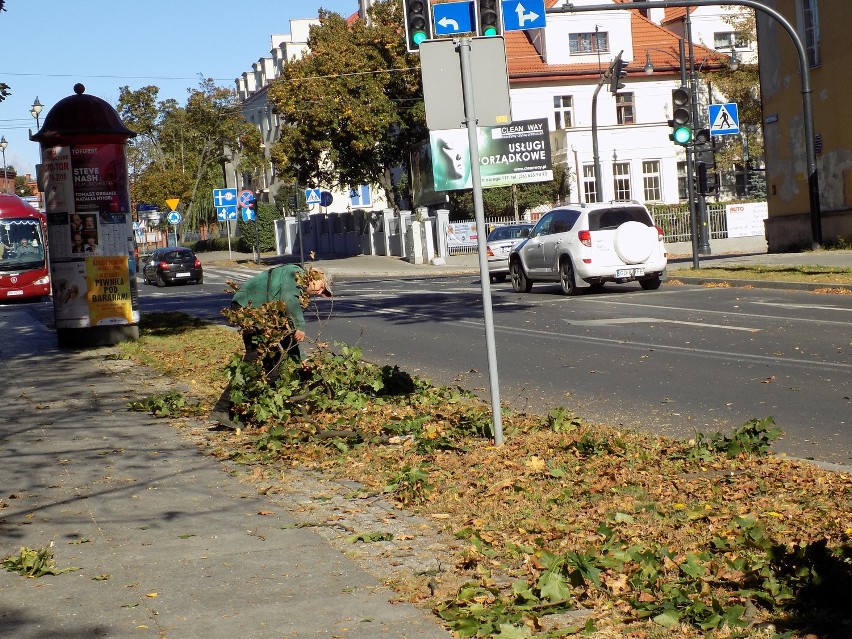 Toruń Wola Zamkowa