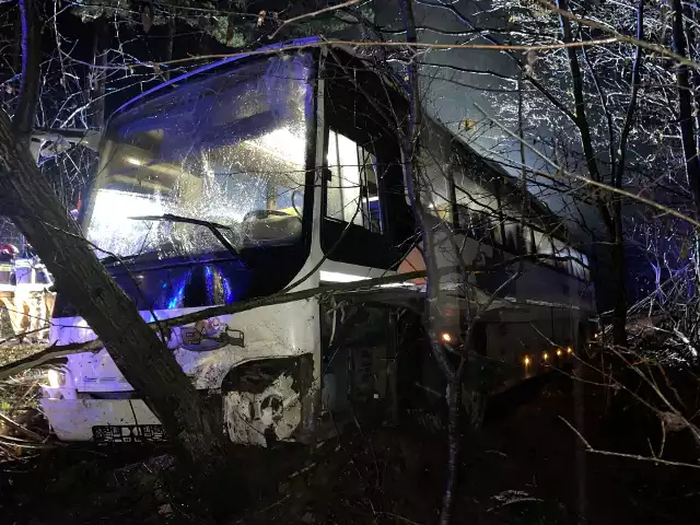 Autobus zjechał z drogi i na poboczu uderzył w drzewo. Pomocy wymagały dwie osoby.