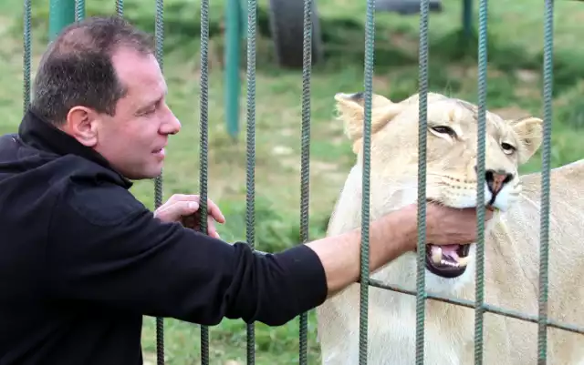 Krzysztof Żerdzicki, właściciel zoo w Wojciechowie i matka lwa Parysa