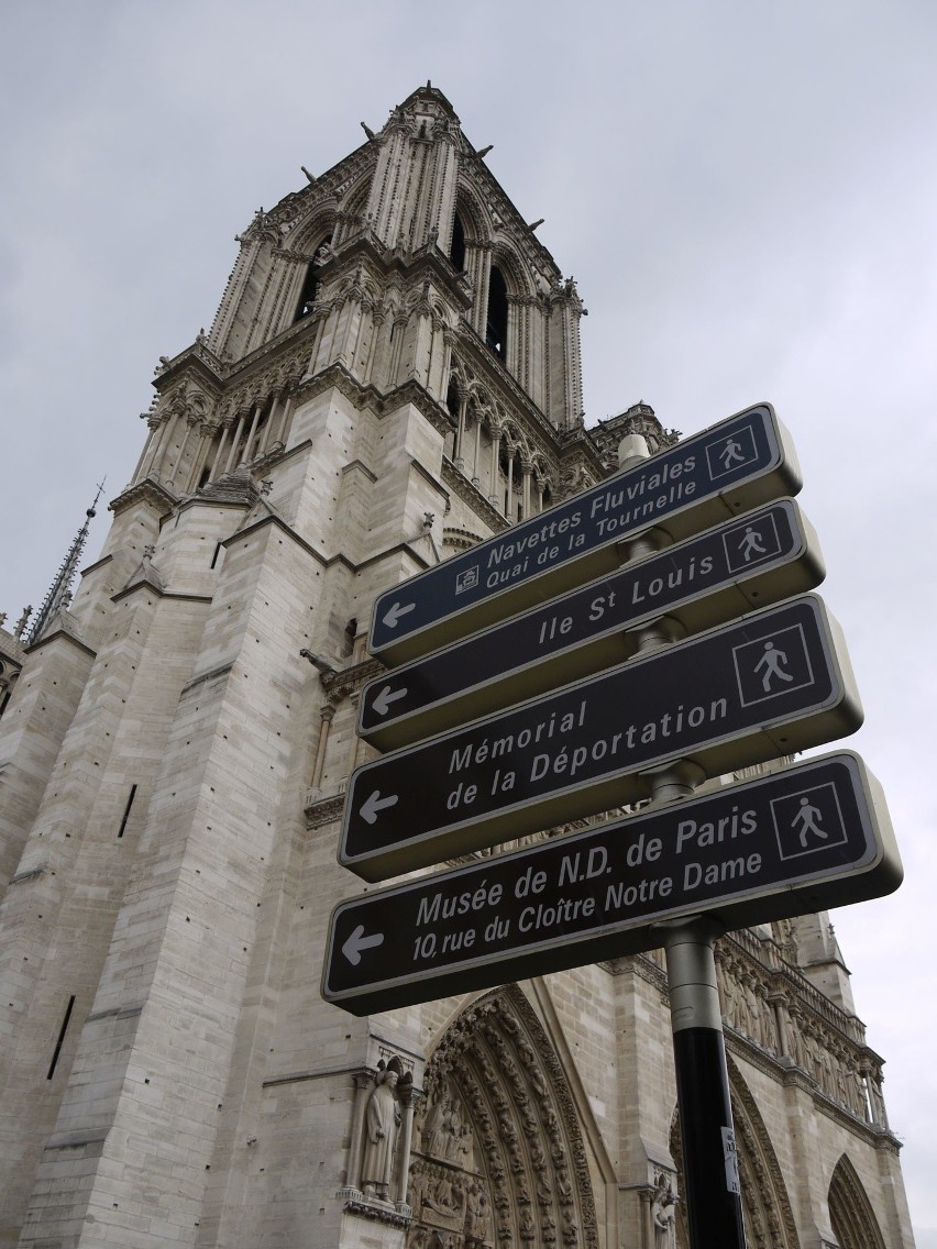 Wielki pożar katedry Notre Dame w Paryżu. Płonie jeden z symboli stolicy Francji NA ŻYWO