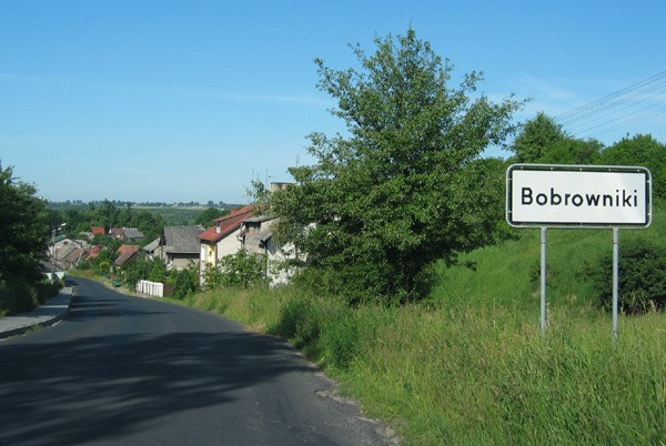 Bobrowniki