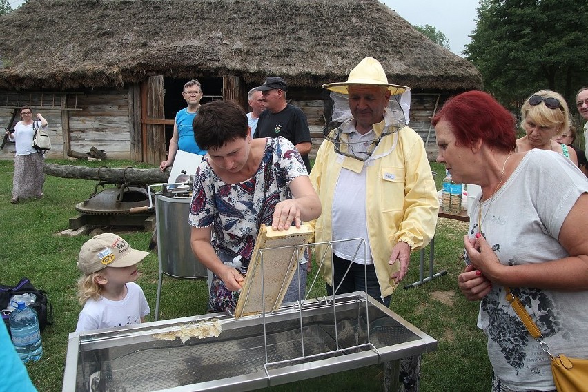 Festyn Miodobranie na Kujawach 2016 odbył się w skansenie w...