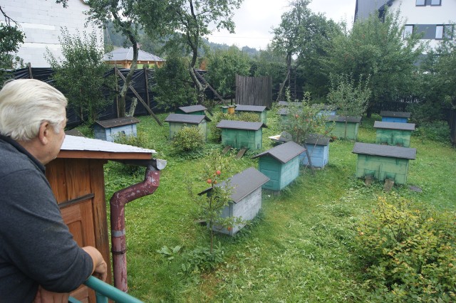 Na pszczoły wydano wyrok.&quot;Przeszkadzały sąsiadom&quot;W ogrodzie pana Czesława stoi dziś 30 uli. Góral deklaruje zmniejszenie ich liczby, ale nie godzi się, by całkiem zniknęły