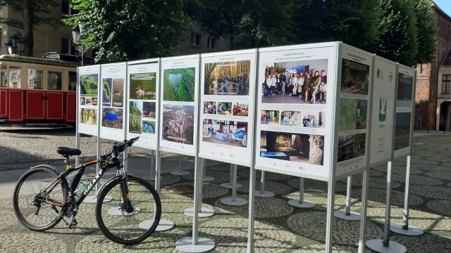 Do końca września na ul. Nowobramskiej w Słupsku można obejrzeć plenerową wystawę fotograficzną „40 lat upłynęło z biegiem Słupi”.