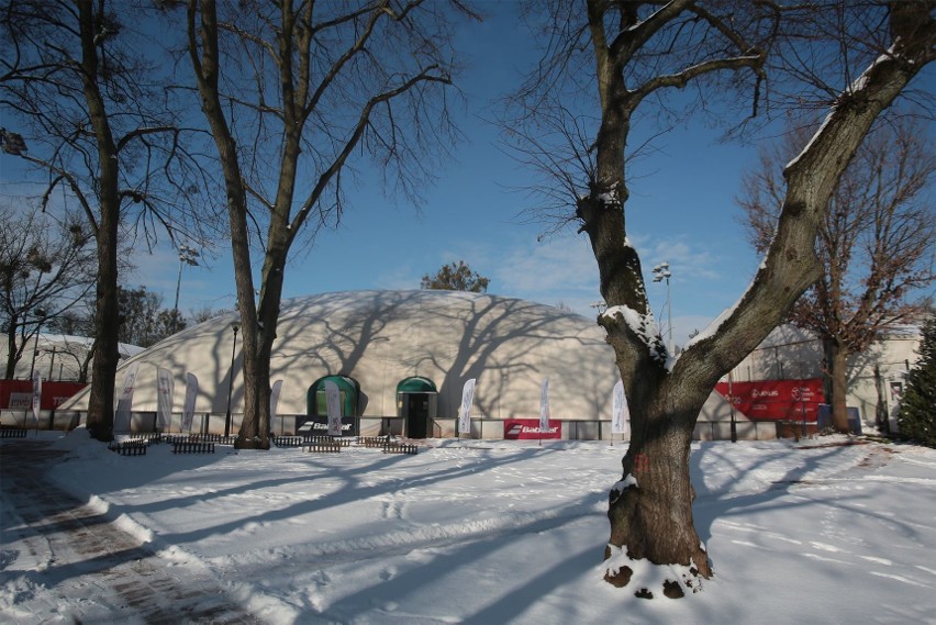 Wytną sporo drzew pod budowę profesjonalnego centrum tenisa w Szczecinie. Nie wszystkim się to podoba