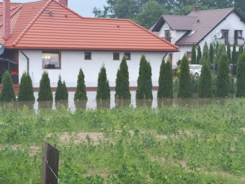 Wąbrzeźno. Piątek, 19.06.2020.