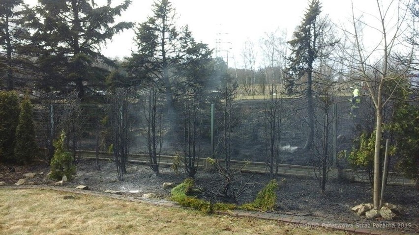 Pożar trawy przy ul. Krętej