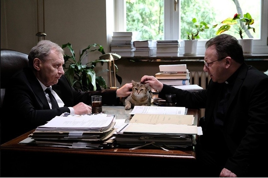 "Polityka": Vega pokazał zwiastun nowego filmu: Misiewicz,...