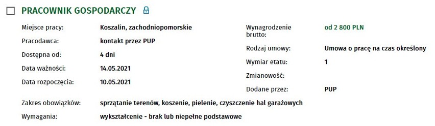 Szukasz pracy w Koszalinie i regionie? Sprawdź, jakie oferty...