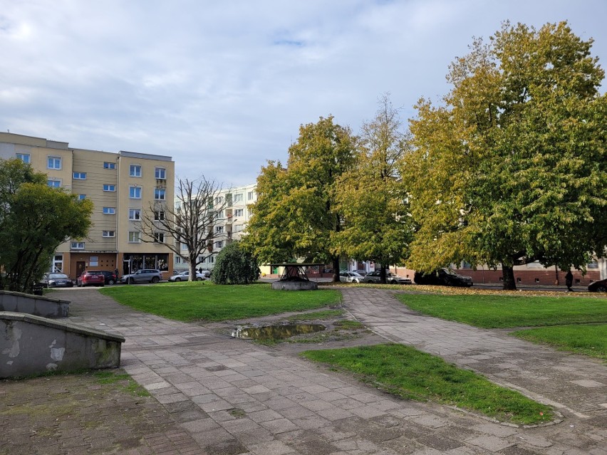 Zielona Piekiełko i asfalt na Grodzkiej. Zmiany na tyłach Starego Rynku w Słupsku