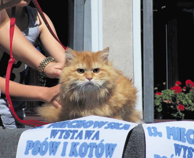 Każdy chciał wygrać...