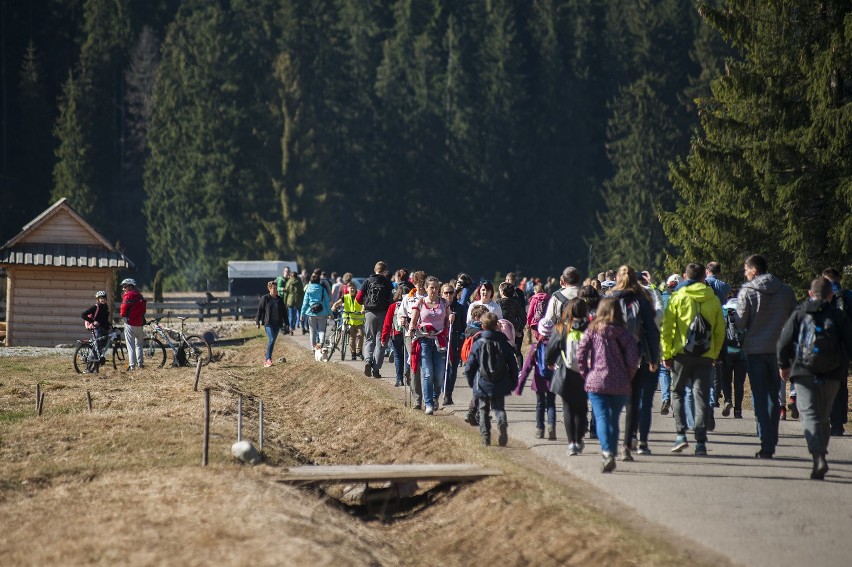 Tłumy w Dolinie Chochołowskiej. Kolejki do kasy nie było końca