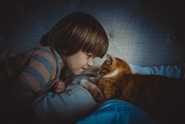 Kot może stanowić doskonałego przyjaciela dla dziecka. Należy jednak wybrać takiego, dla którego kontakt z najmłodszymi nie będzie straszny. Które rasy są najlepsze dla kilkulatków? Sprawdź wszystkie rasy dobre dla dzieci ---->