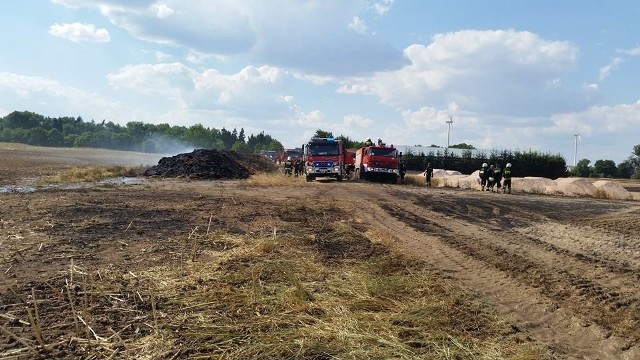 Pożar pola gasiły wszystkie jednostki z krajowej bazy z terenu powiatu, dwa samoloty, pomagali też rolnicy.