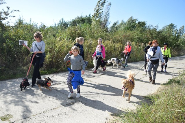 I Tarnopieski Dogtrekking, czyli bieg na orientację z psem rozegrano w niedzielę 4 października w Tarnobrzegu.