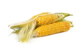 Kukurydza – wartości odżywcze, witaminy, kalorie. Kto powinien uwzględnić kukurydzę w swoim jadłospisie?
