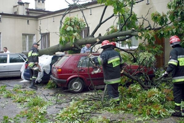 Drzewo przygniotło cztery auta zaparkowane na policyjnym parkingu.