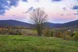 Beskid Niski. Kraina buków przybrała złociste barwy. Jesień ma tutaj wyjątkowy charakter [ZDJĘCIA]