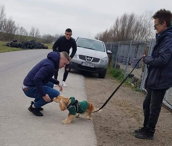 Po raz kolejny przeprowadzona została akcja Spacer Psiaka i Wiślaka. Delegacja piłkarzy trzecioligowego zespołu Wisły Sandomierz, zarządu i kibiców odwiedziła Przytulisko na Wiśniowej. Spacer Psiaka i Wiślaka, mimo niezbyt dobrej pogody, był udany. (dor)