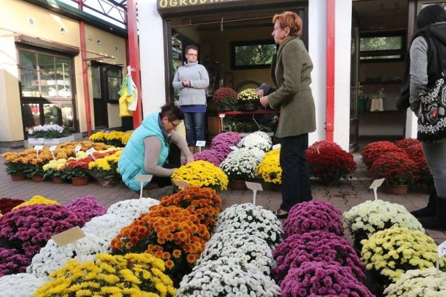 Chryzantemy - najbardziej rozpoznawalne kwiaty na 1 listopada. Ich ceny zaczynają się w tym roku od niespełna 10 zł. Najpopularniejsze są pełne jasne kwiaty.
