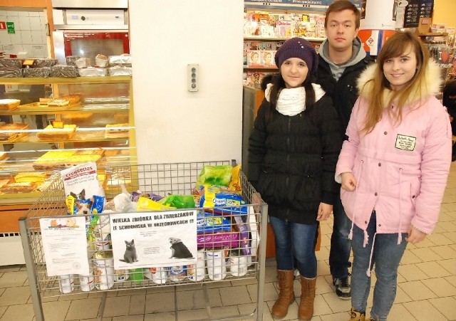 Ewelina Grzeszczak (nz. z lewej), Kamila Piróg i Michał Michorczyk, studenci II roku zarządzania PWSTE w Jarosławiu, zorganizowali projekt pomocy bezdomnym psom i kotom ze schroniska.