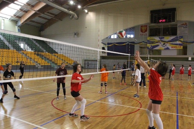 Kielecki finał Mini Volley Cup