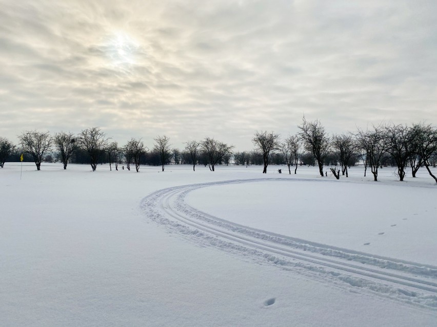 Tak obecnie wygląda pole golfowe w Kamieniu Śląskim.