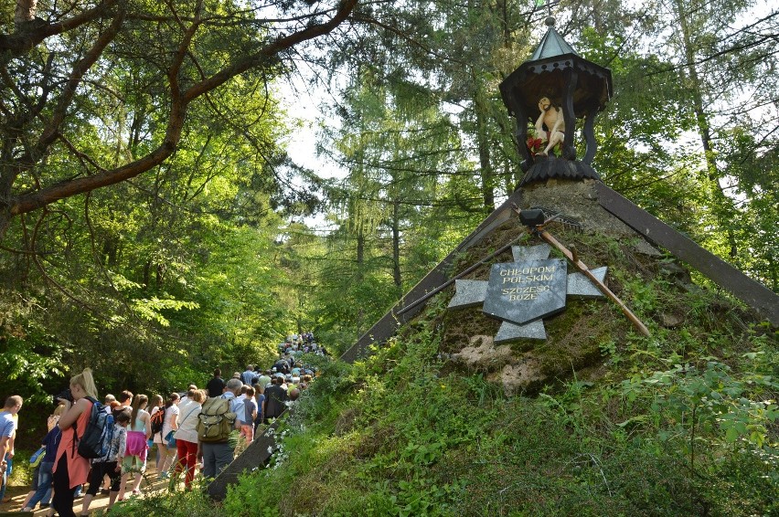 Odkrywano Urbanią Górę i Kalwarię Tokarską [ZDJĘCIA]